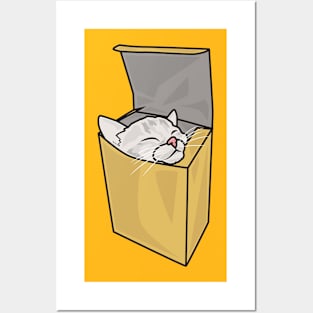 Cat in the box Posters and Art